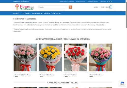 flower2cambodia.com capture - 2025-06-14 18:48:23