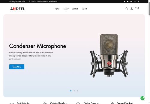 audeel.com capture - 2025-06-14 19:37:26