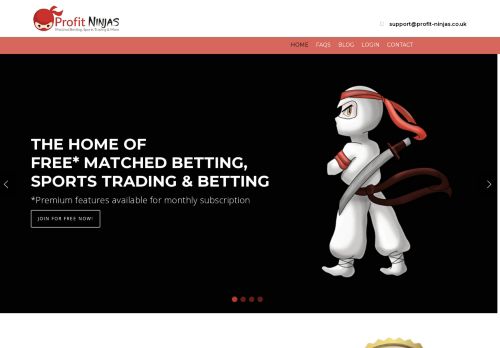 profit-ninjas.co.uk capture - 2025-06-14 21:58:49