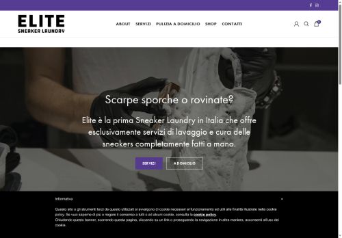 elitesneakerlaundry.com capture - 2025-06-15 00:20:22