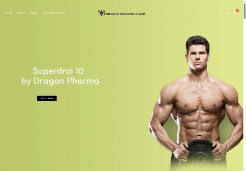 firesafetysystemsfl.com capture - 2025-06-15 01:36:26