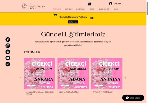 cicektasarimokulu.com capture - 2025-06-15 01:38:47