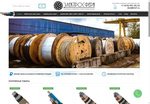 elsf.ru capture - 2025-06-15 02:13:04