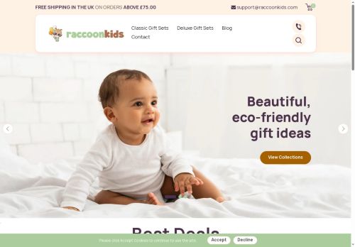 raccoonkids.com capture - 2025-06-15 02:35:23