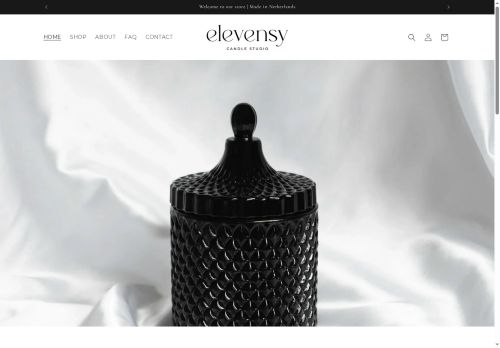 elevensy.com capture - 2025-06-15 05:01:14