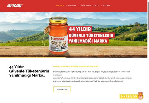 aricanbal.com capture - 2025-06-15 05:15:02