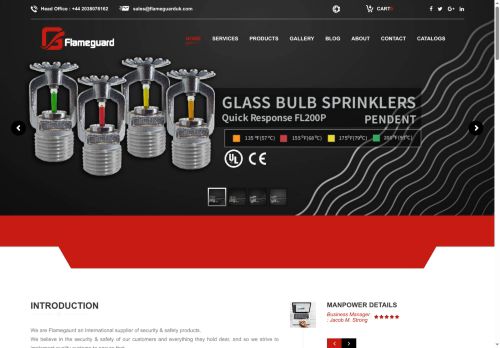 flameguarduk.com capture - 2025-06-15 08:06:54