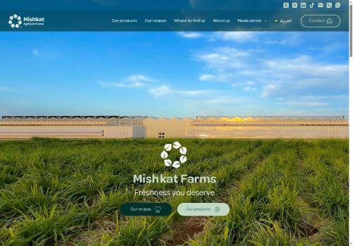 mishkat.com capture - 2025-06-15 08:10:48