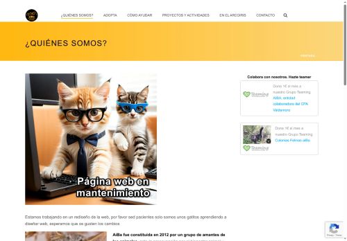 aibamadrid.com capture - 2025-06-15 09:19:51