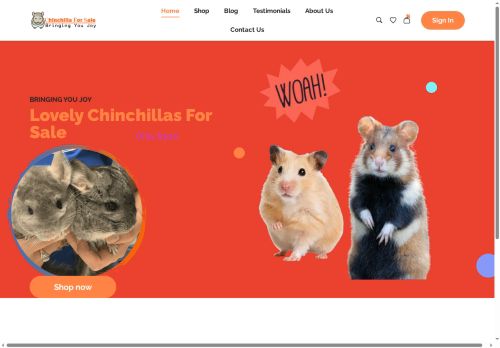 chinchillasale.com capture - 2025-06-15 09:28:01