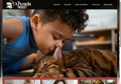 theartemisprojectrescue.org capture - 2025-06-15 11:25:30