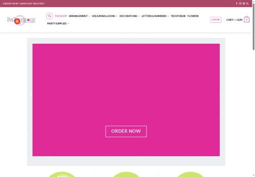 balloonsrus.online capture - 2025-06-15 14:27:46