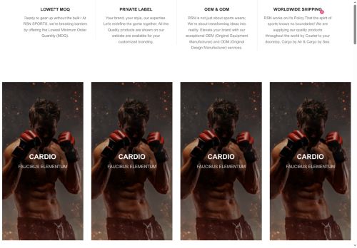 rsnazirgloves.com capture - 2025-06-15 14:45:58