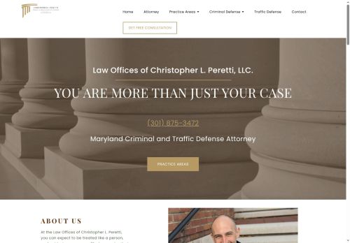 perettillc.com capture - 2025-06-15 14:52:21