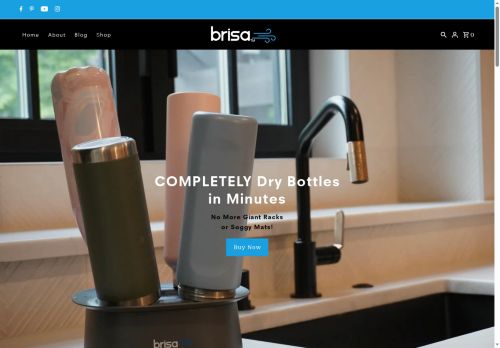 Brisa Systems capture - 2025-06-15 17:29:38