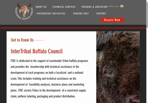 itbcbuffalonation.org capture - 2025-06-15 20:40:15