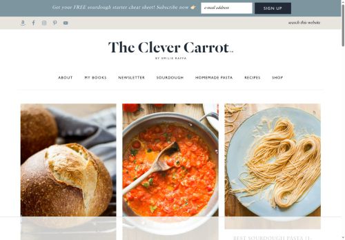 The Clever Carrot capture - 2025-06-16 10:03:25