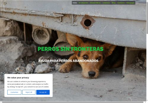 perrossinfronteras.org capture - 2025-06-16 10:13:12