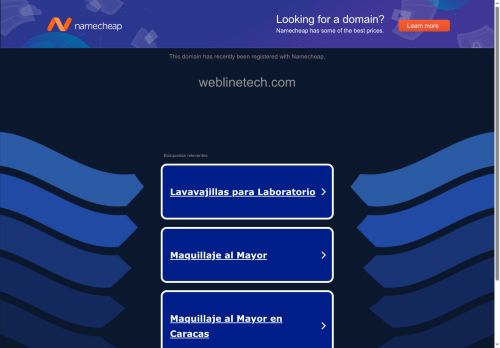 weblinetech.com capture - 2025-06-16 10:36:01