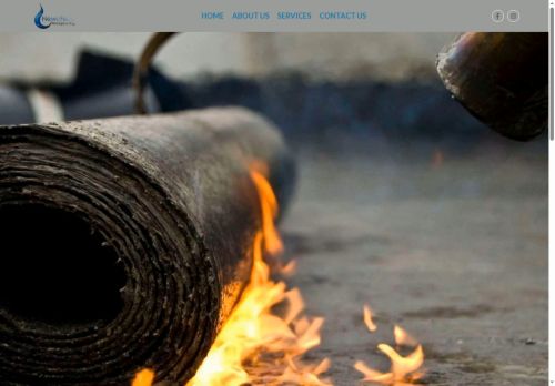 newchemwaterproofing.com capture - 2025-06-16 11:01:35