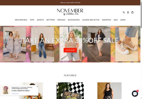 novemberboutiqueco.com capture - 2025-06-16 18:12:02