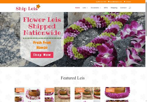 shipleis.com capture - 2025-06-16 21:00:07