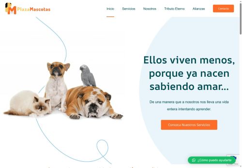 plazamascotas.com capture - 2025-06-16 22:33:08