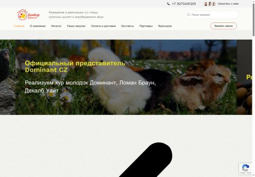 xn--d1amfhmr.xn--p1ai capture - 2025-06-16 22:55:42