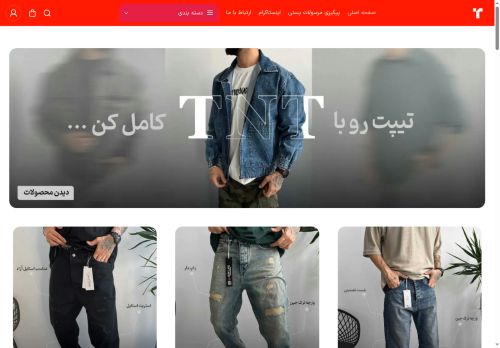 tnt-butique.com capture - 2025-06-17 00:19:30