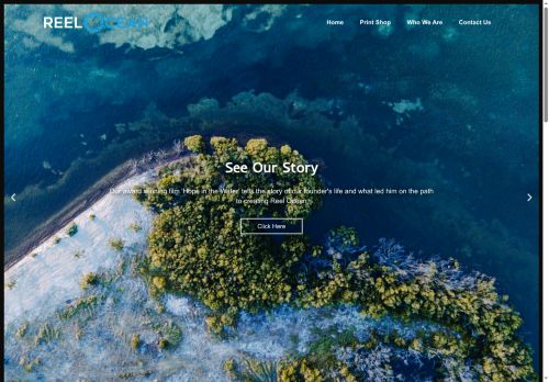 reelocean.org capture - 2025-06-17 01:45:53