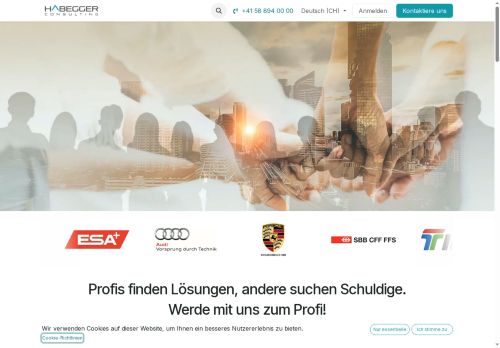 habegger.consulting capture - 2025-06-17 02:47:14