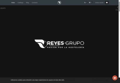 reyesgrupo.com capture - 2025-06-17 04:10:37