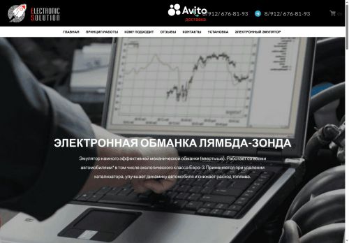 electsol.ru capture - 2025-06-17 13:14:02