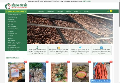 dorungtaybac.com capture - 2025-06-17 13:59:29