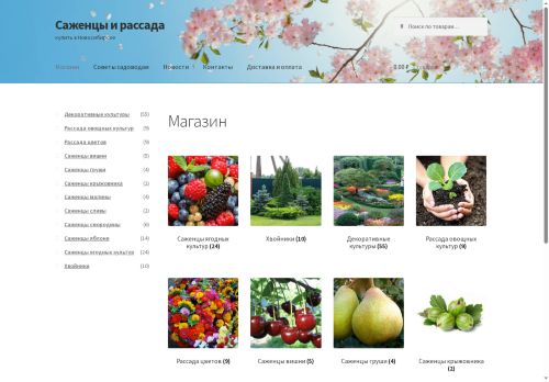 xn--54-6kcue7bya8b6b.xn--p1ai capture - 2025-06-17 15:00:30