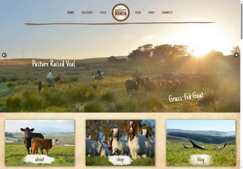 rossottiranch.com capture - 2025-06-17 16:43:37