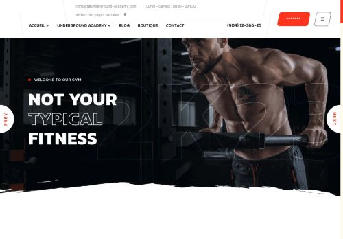 underground-academy.com capture - 2025-06-17 17:35:41