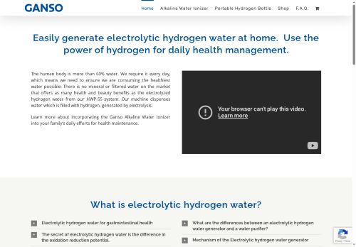gansoionizer.com capture - 2025-06-17 18:13:26