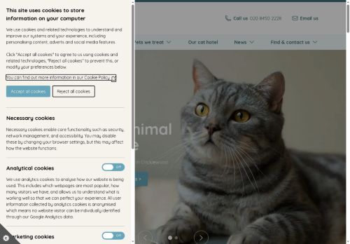amcvetlondon.co.uk capture - 2025-06-17 19:54:39