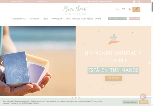 bizislow.com capture - 2025-06-18 02:08:23