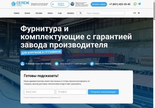 seleg-p.ru capture - 2025-06-18 07:33:13