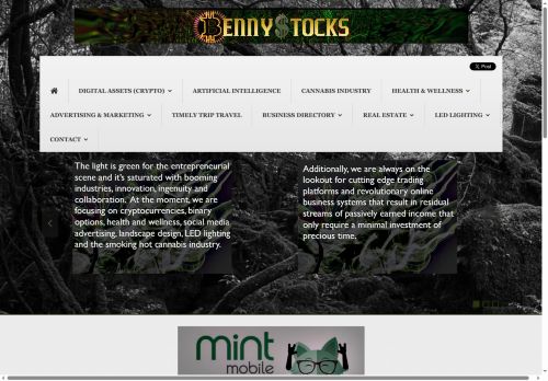 endopreneur.com capture - 2025-06-18 11:13:00