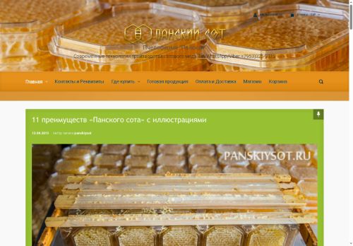 panskiysot.ru capture - 2025-06-18 12:41:32