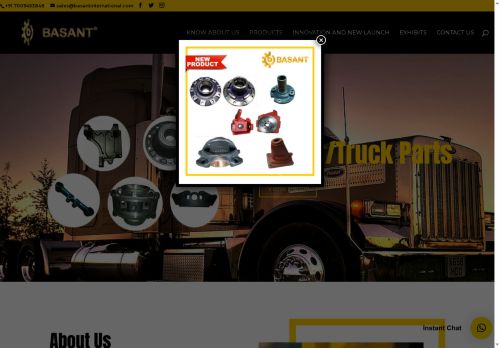 basantinternational.com capture - 2025-06-18 13:33:08