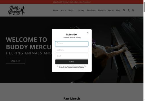 buddymercury.com capture - 2025-06-18 14:07:57