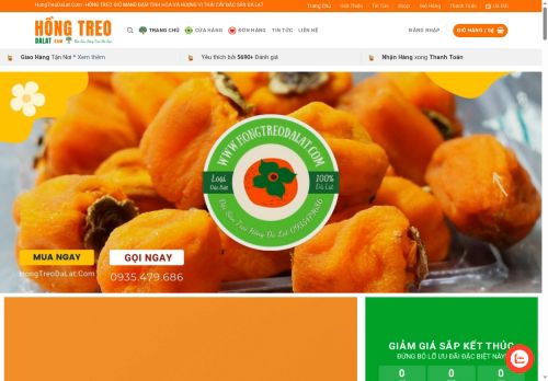 hongtreodalat.com capture - 2025-06-18 19:10:05