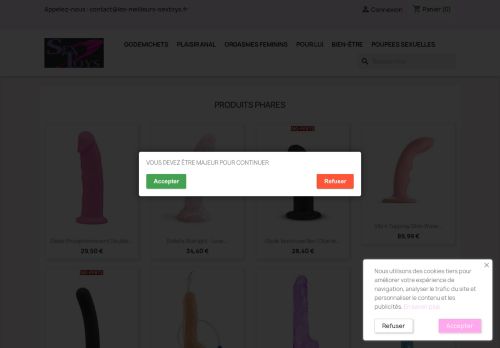 les-meilleurs-sextoys.fr capture - 2025-06-18 20:49:08