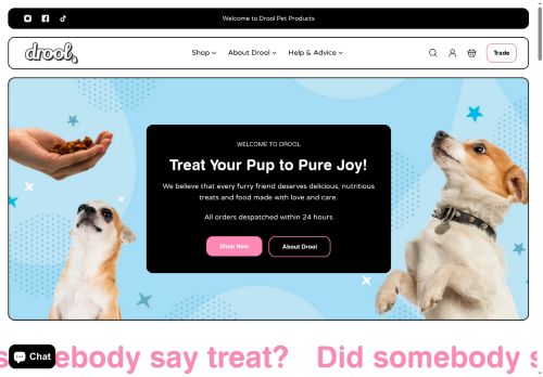 droolpetproducts.com capture - 2025-06-18 21:24:56