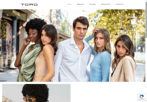 salontoro.com capture - 2025-06-18 21:49:58