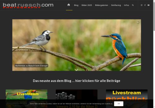 beatruesch.com capture - 2025-06-19 00:44:59